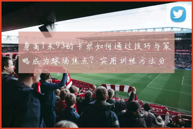 身高1米93的卡尔如何通过技巧与策略成为球场焦点？实用训练方法分享